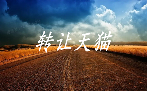 天猫店铺