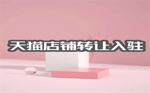 天猫入驻